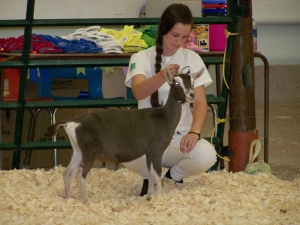 Open Goat Show 057